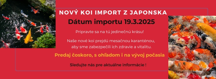 Koi import 2025