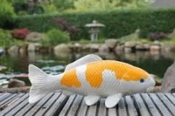 Maketa Hariwake KOI 26 cm